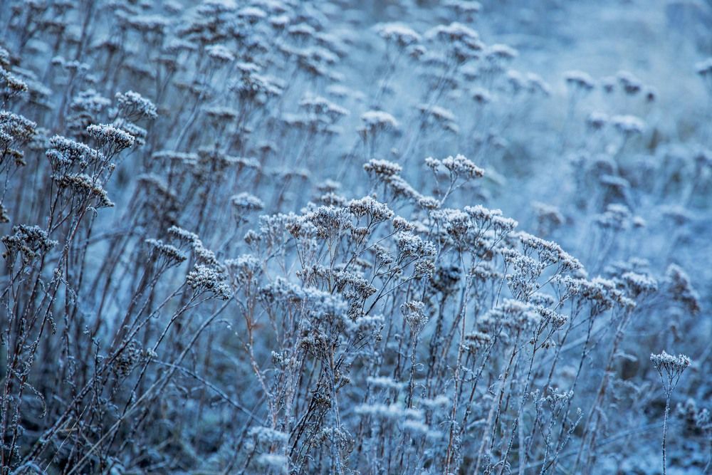 Photograph by Елена