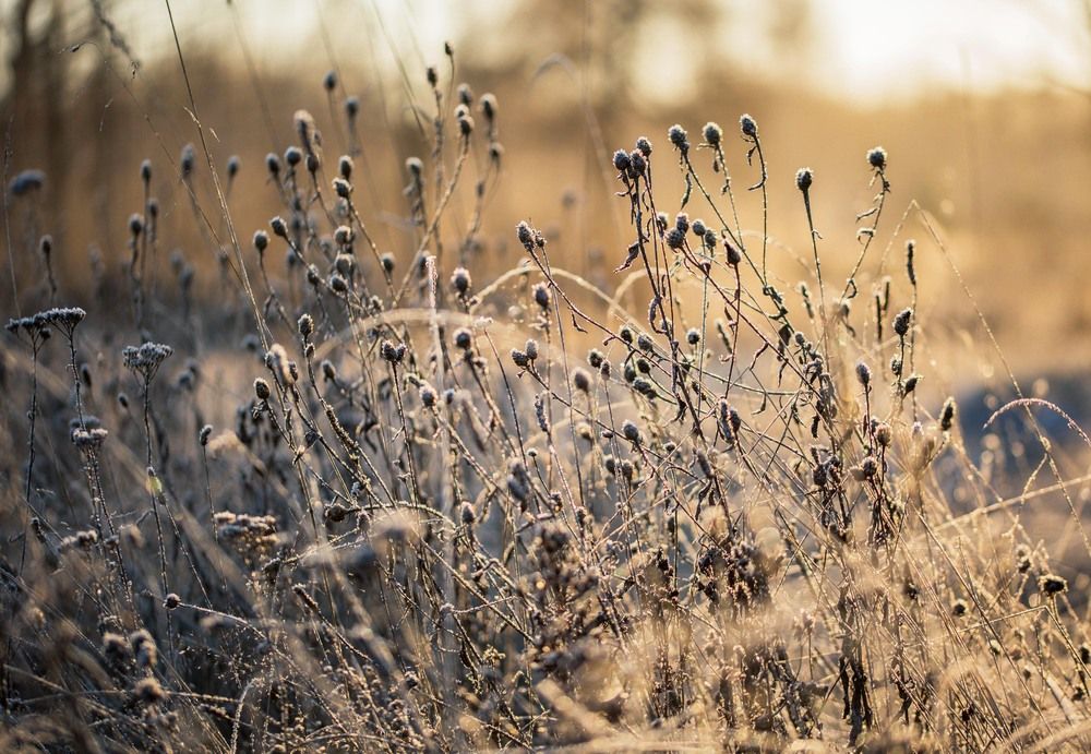 Photograph by Елена