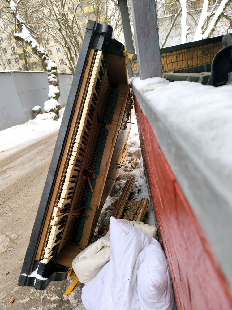 Photograph by Дьяченко Игорь