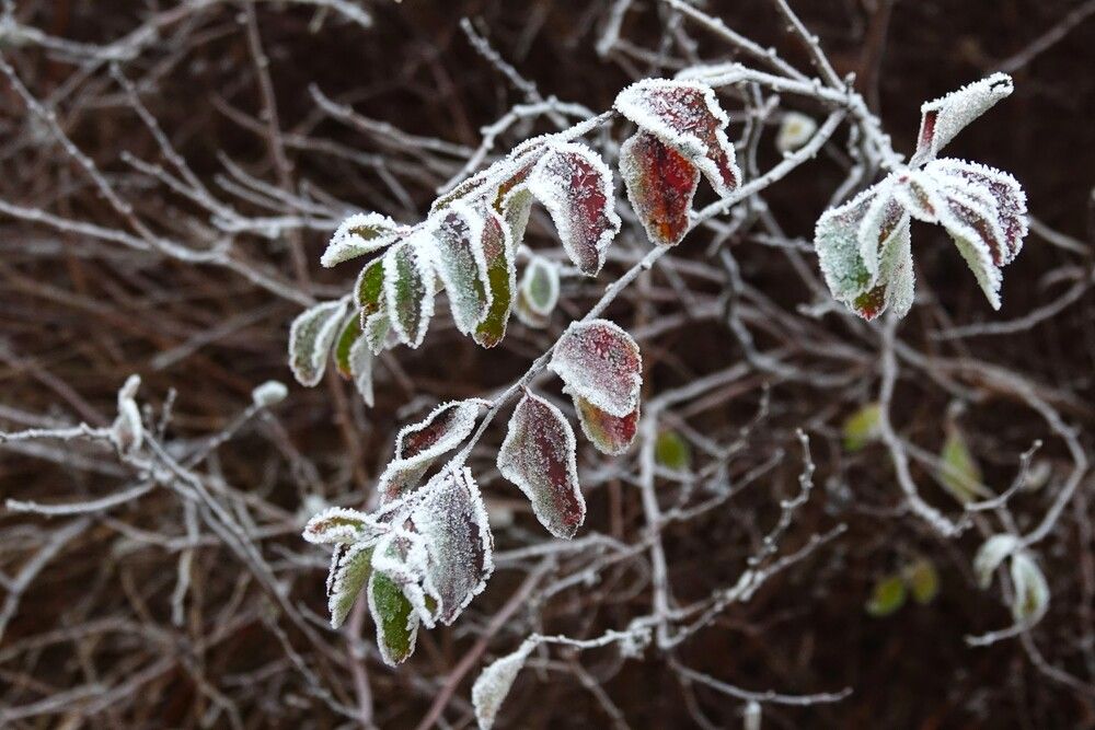 Photograph by jelena konickaja