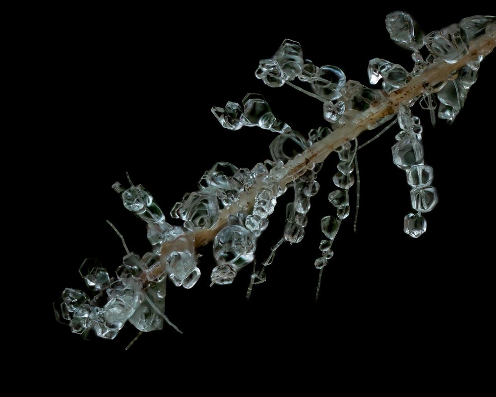 Photograph by Craig Loechel