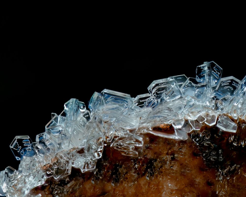 Photograph by Craig Loechel