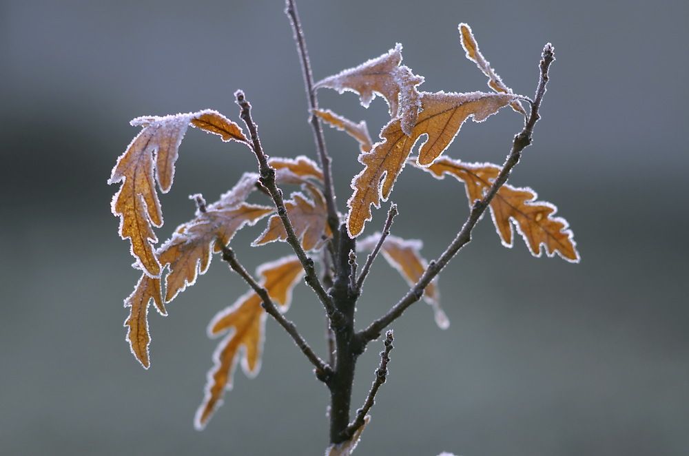 Photograph by Анатолий Святой