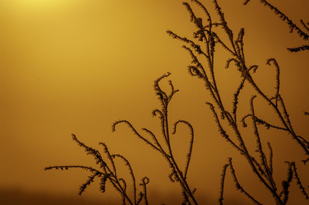 Photograph by Николай Захаров