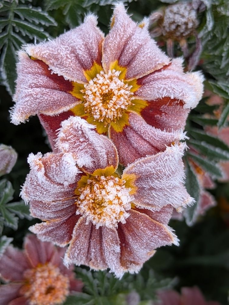 Photograph by Сергей Старых