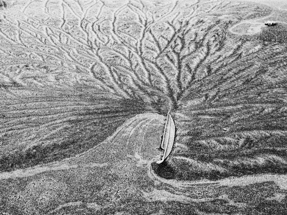 Photograph by Jonathan L