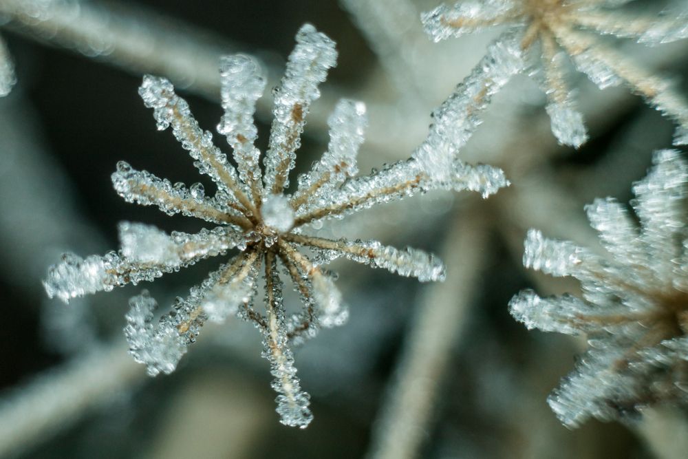 Photograph by Максим Светличный