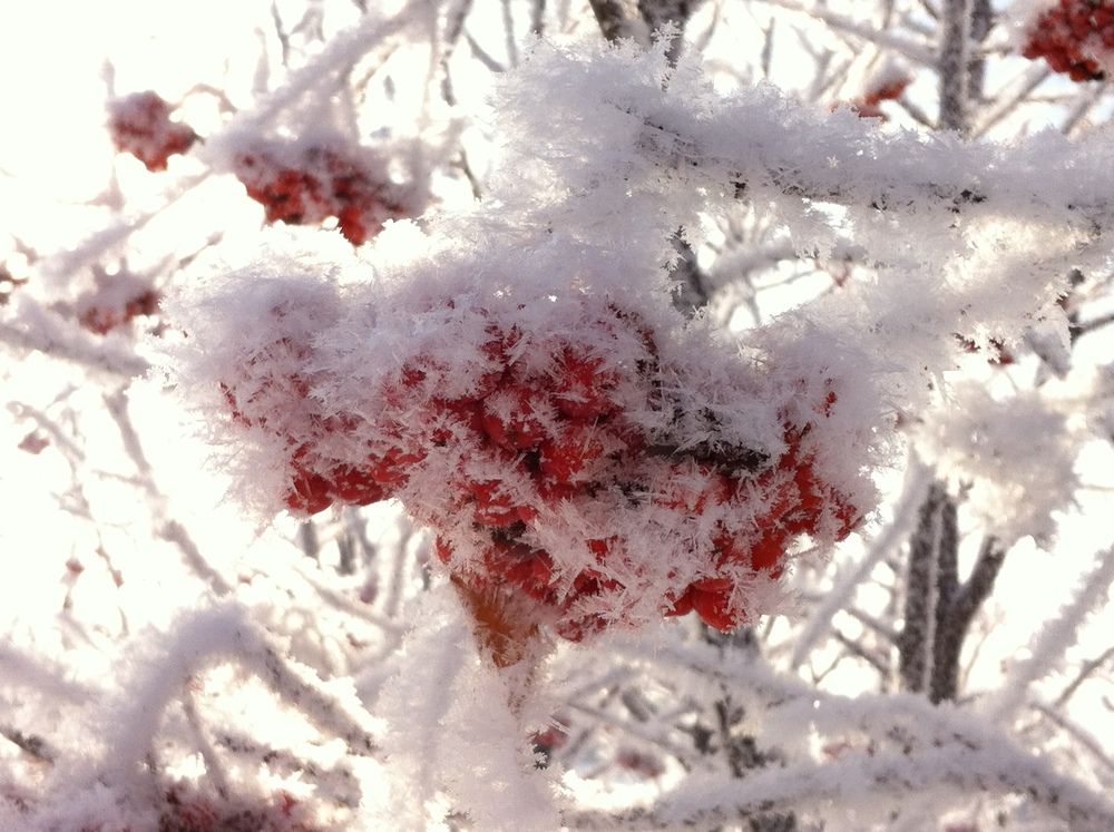 Photograph by Елена Александрова