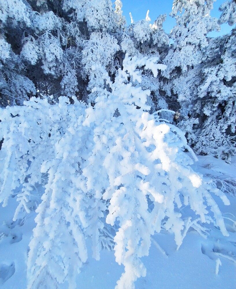 Photograph by Елена Александрова