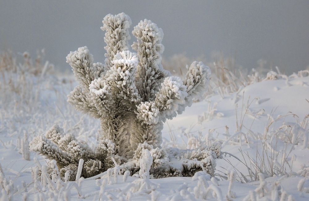 Photograph by Александр Попов