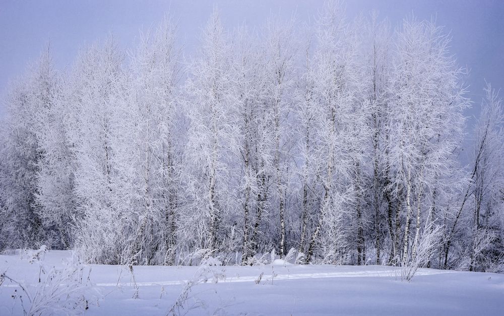 Photograph by Татьяна Добровольская
