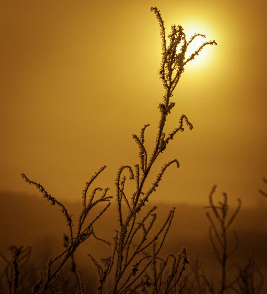Photograph by Николай Захаров