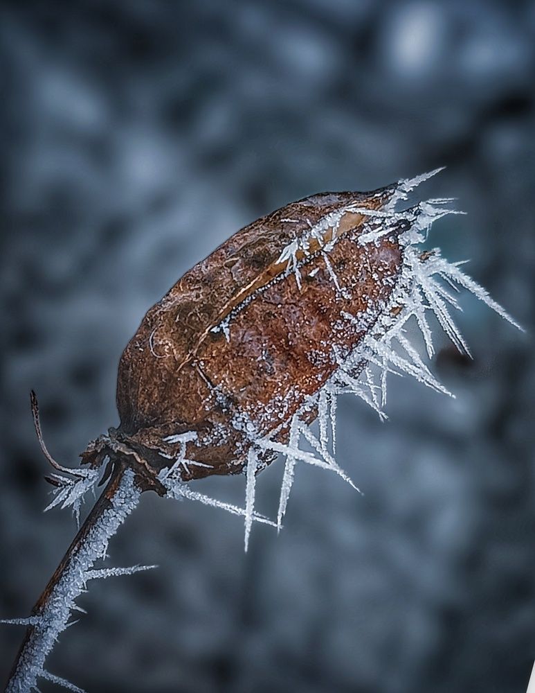 Photograph by Литвинова Галина