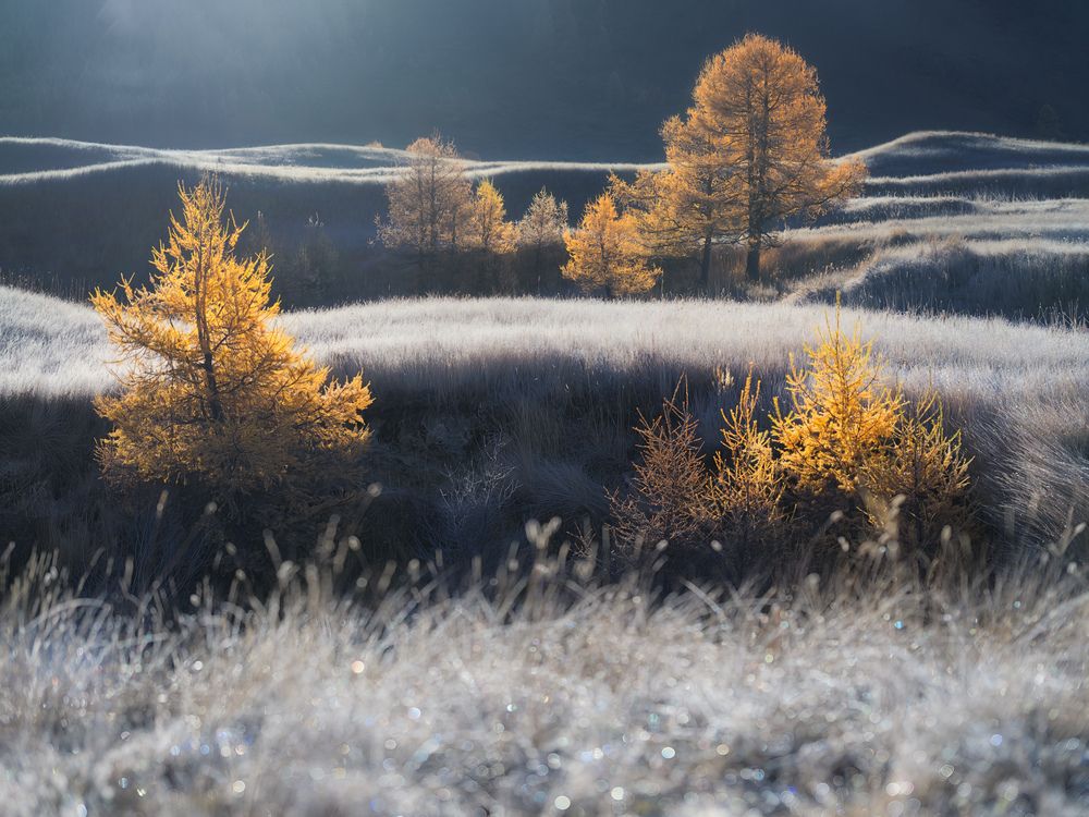 Photograph by Dmitry Medyancev