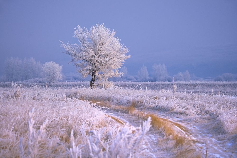 Photograph by Константин Белоногов