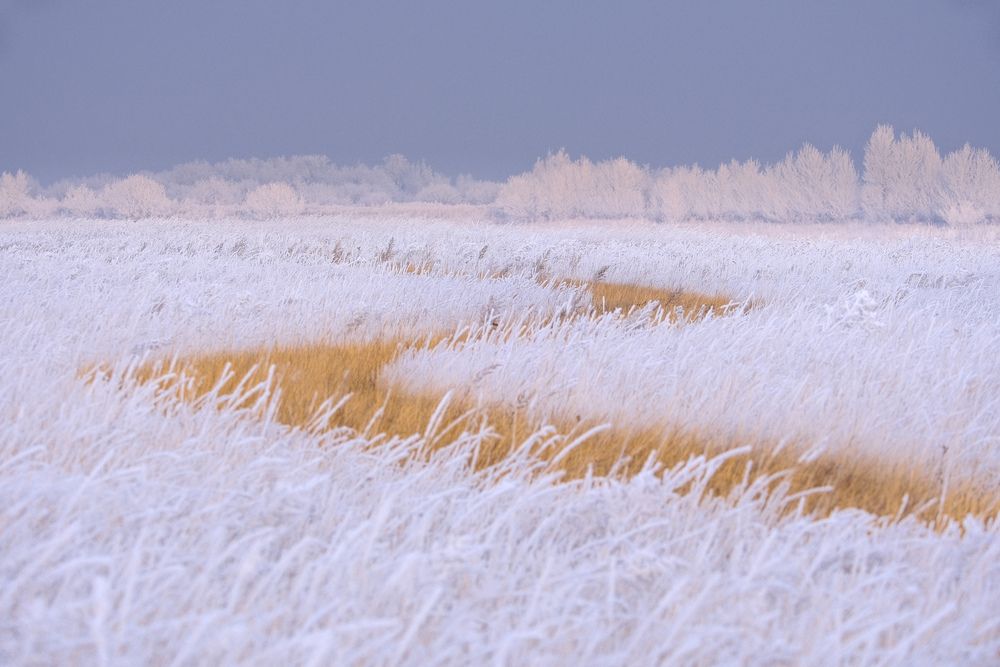 Photograph by Константин Белоногов