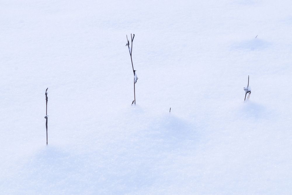 Photograph by Толстоноженко Илья