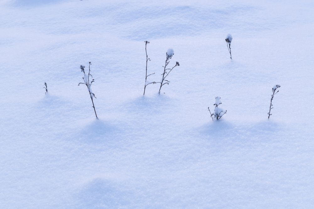 Photograph by Толстоноженко Илья
