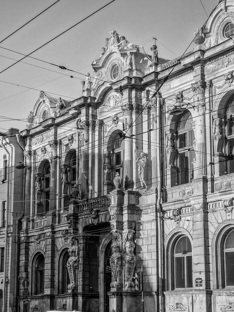 Photograph by Полина Галянина