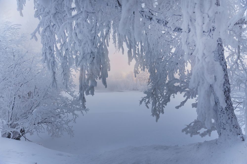 Photograph by Наталья Дроздова