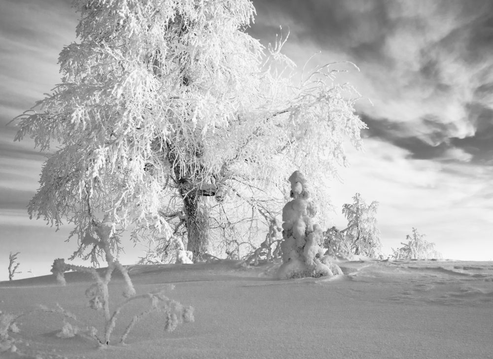 Photograph by Анна Стрелковская