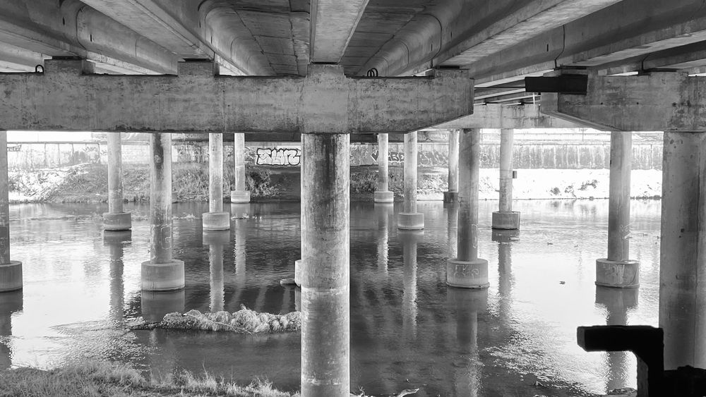 Фотография автора Ольга Ильина