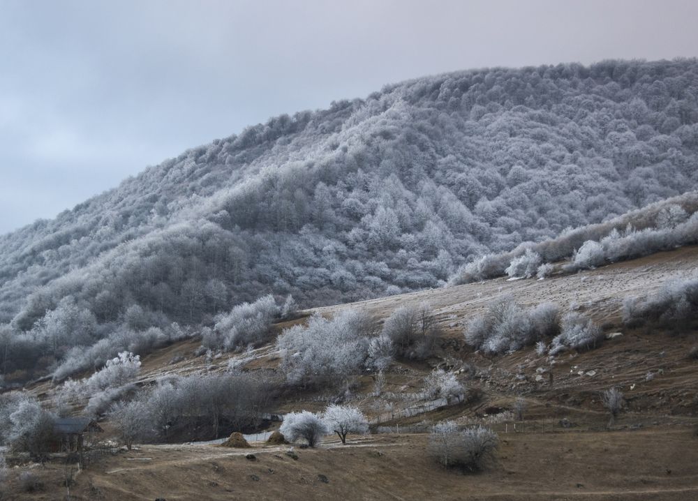 Photograph by Шипунова Ирина