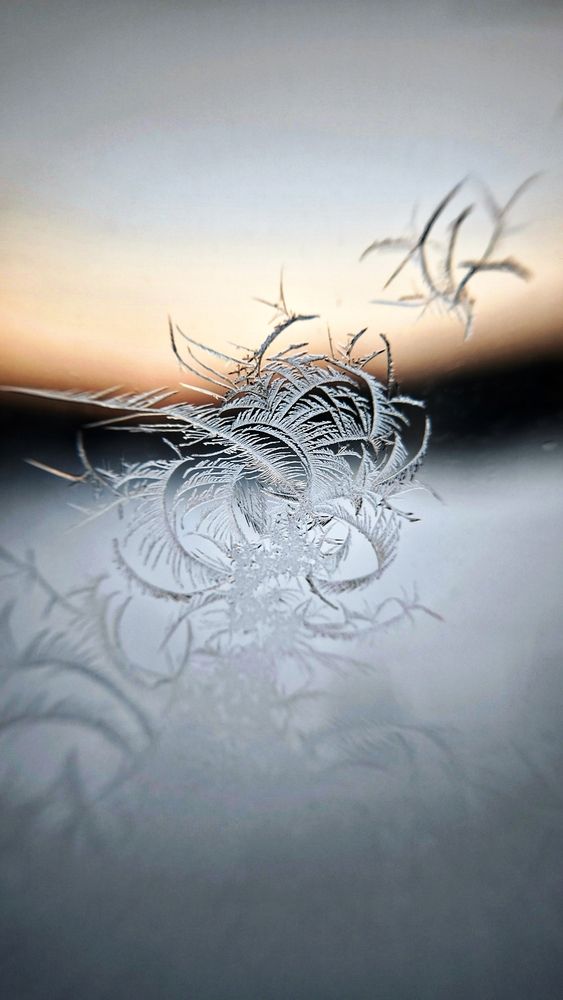 Photograph by Eugenia Blinova