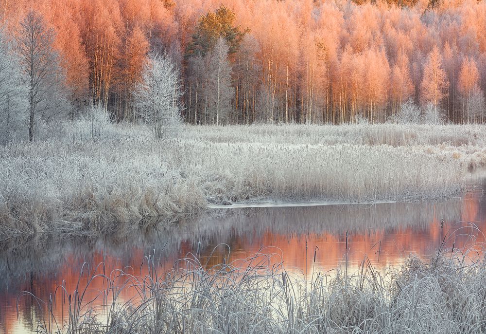 Photograph by Andrew Kuzmin