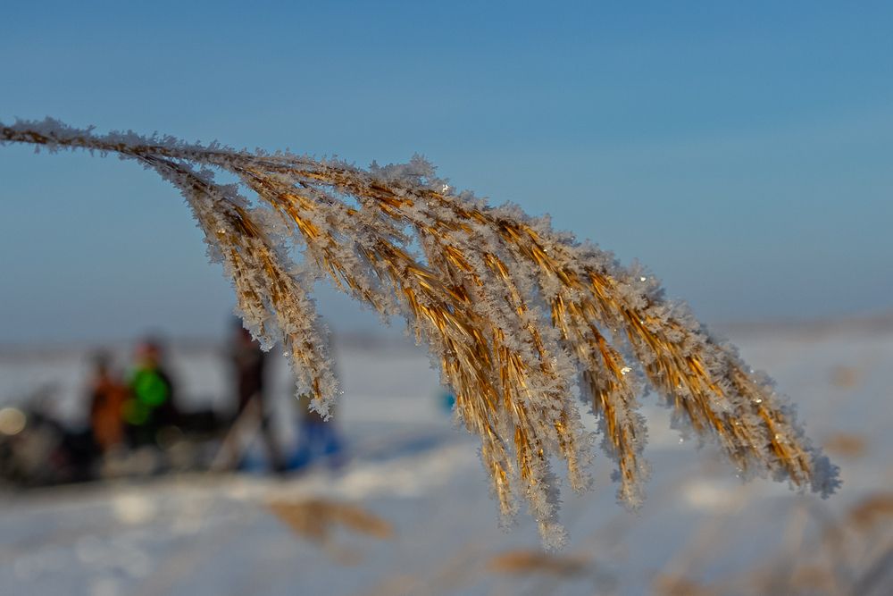 Photograph by Михаил Наволокин
