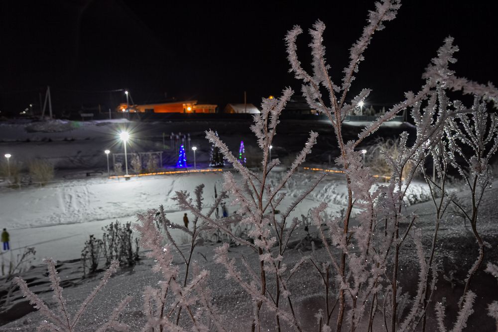 Photograph by Михаил Наволокин