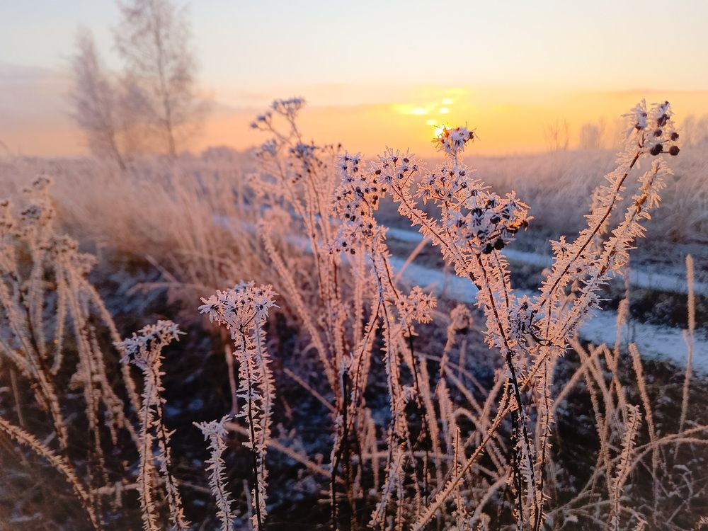 Photograph by Кондрашова Светлана