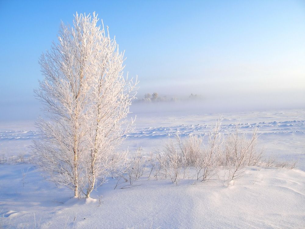 морозное утро