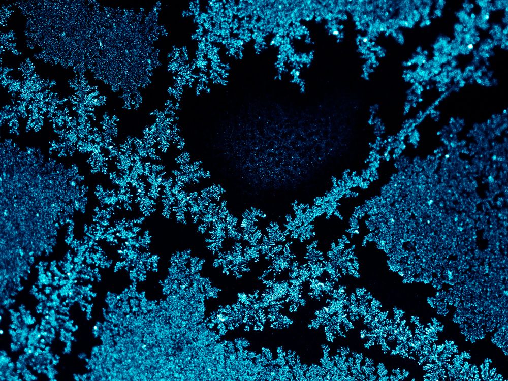 Photograph by Денис Давыдов