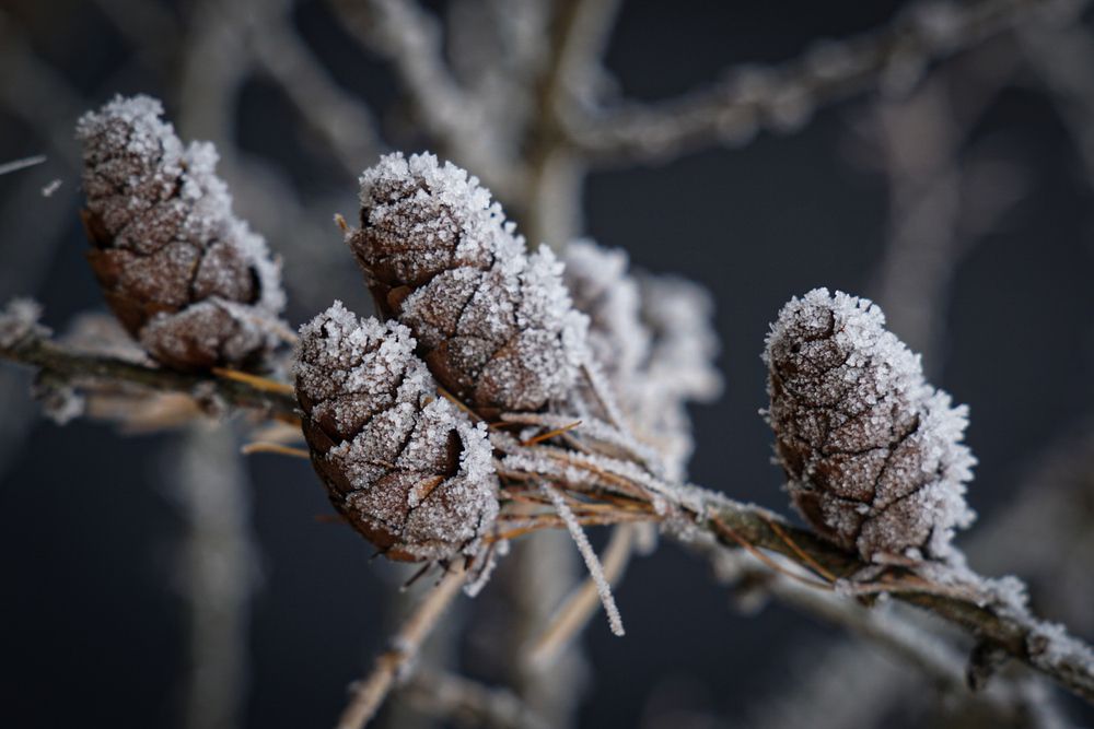 Photograph by Наталья Мубаракшина