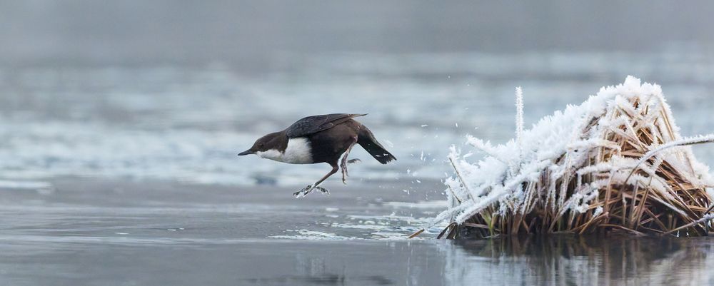 Photograph by Jørgen Hovde