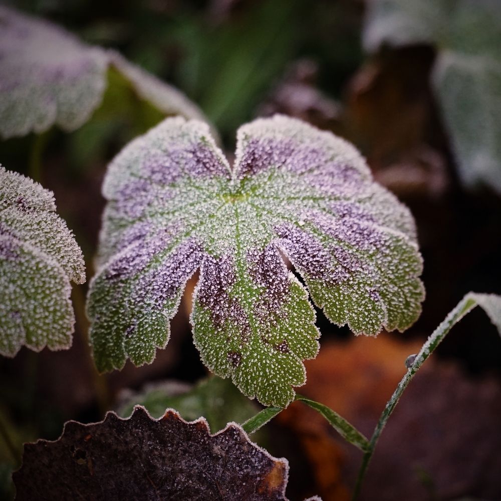 Photograph by Андрей Литов