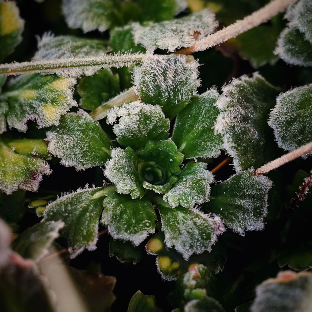 Photograph by Андрей Литов