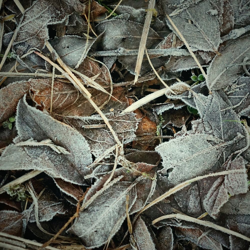 Photograph by Андрей Литов