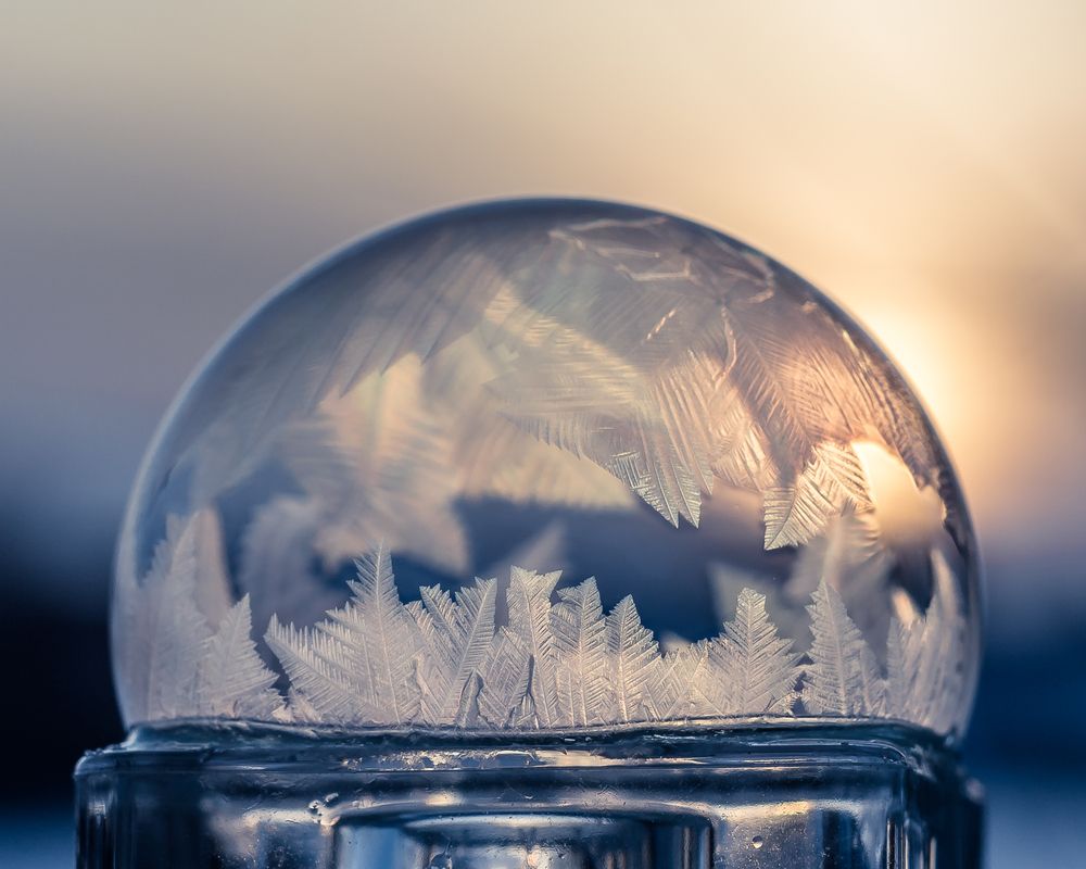 Photograph by Людмила Прибылова