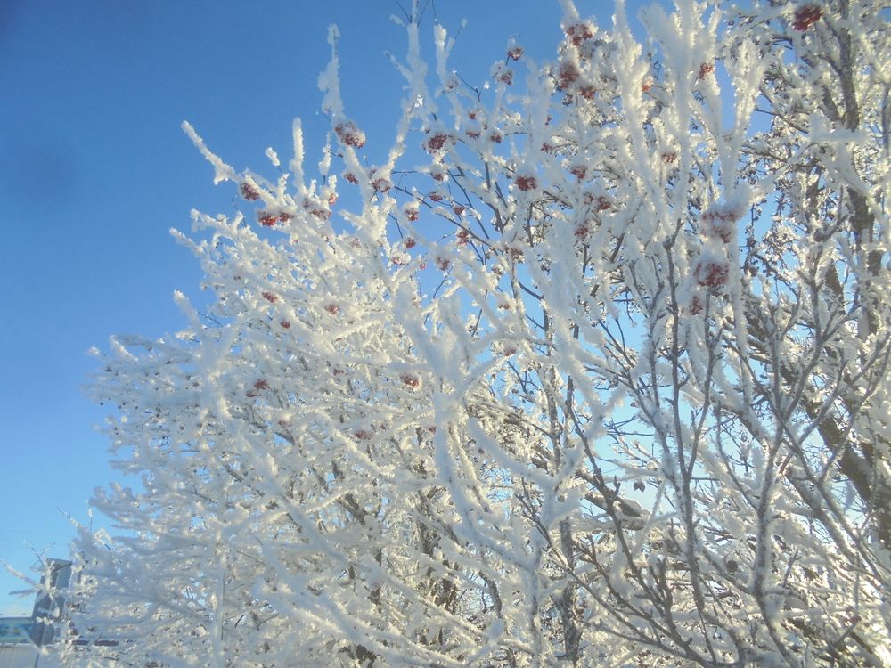 Photograph by Лилия Исхакова