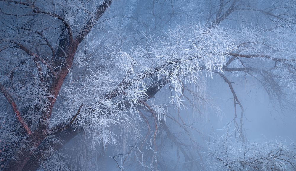 Photograph by Дубровинский Михаил