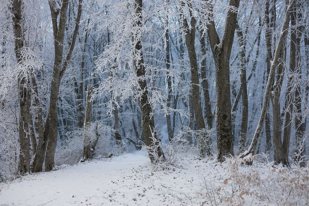 Photograph by Ekaterina Romanova