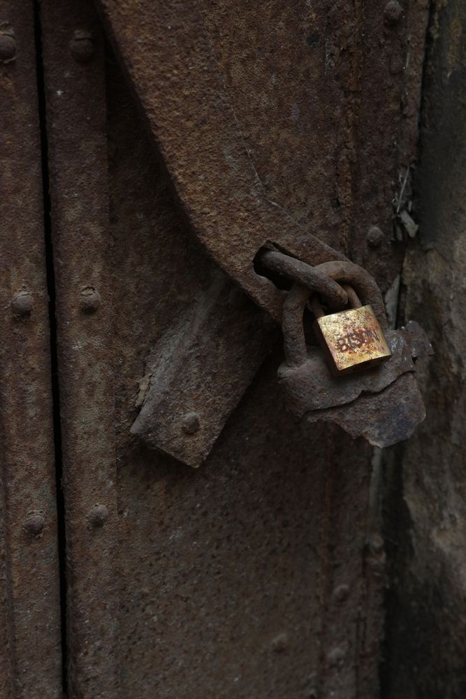 Photograph by Дьяченко Игорь