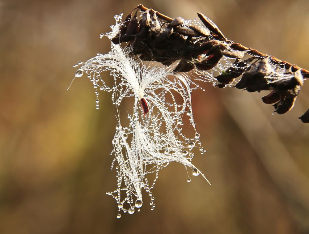 Photograph by Сергей Кульков