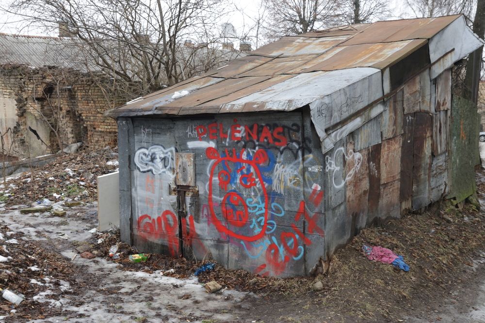 Photograph by Дьяченко Игорь