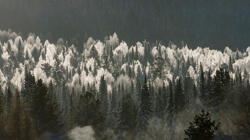 Photograph by Пешков Валерий