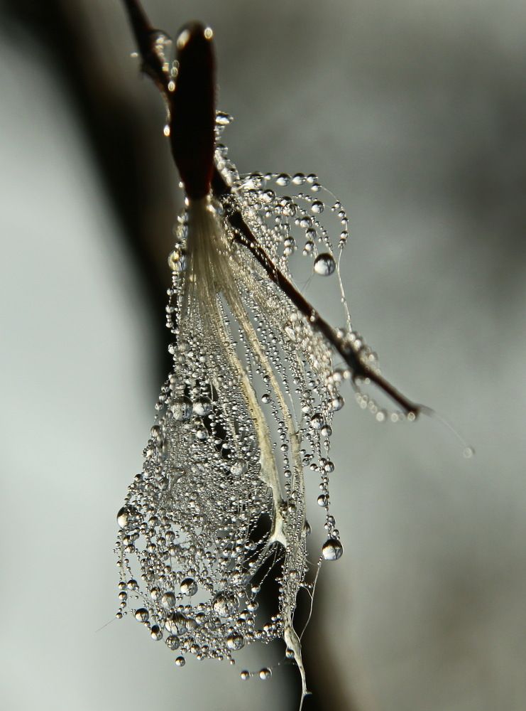 Photograph by Сергей Кульков