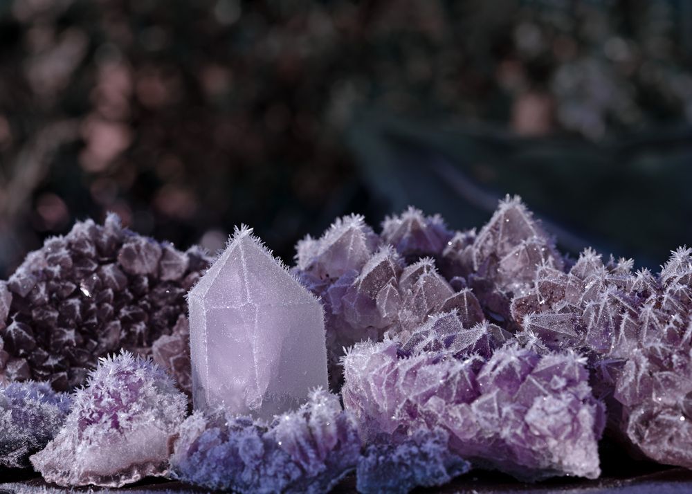 Фотография автора LYUDMYLA POKRYSHEN