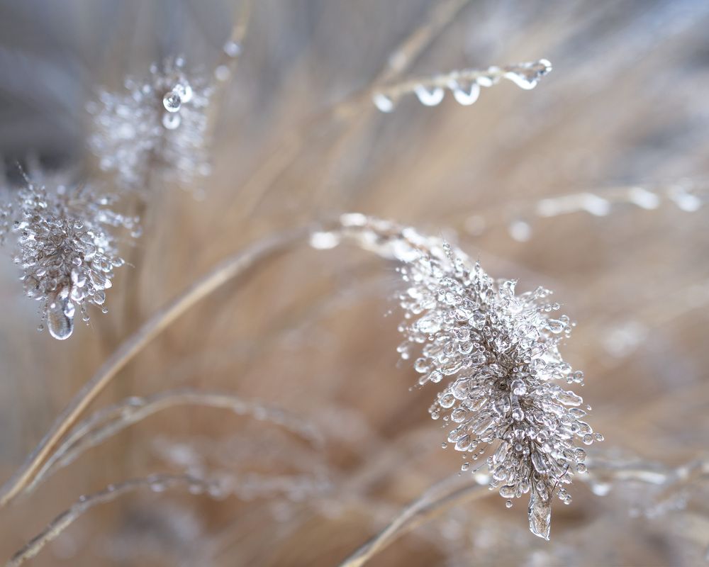 Фотография автора LYUDMYLA POKRYSHEN